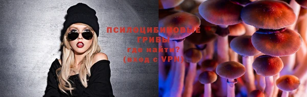дмт Алзамай