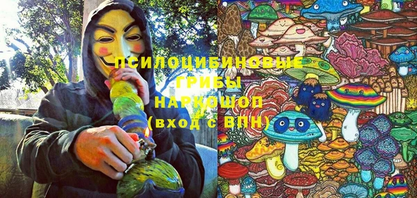 дмт Алексеевка