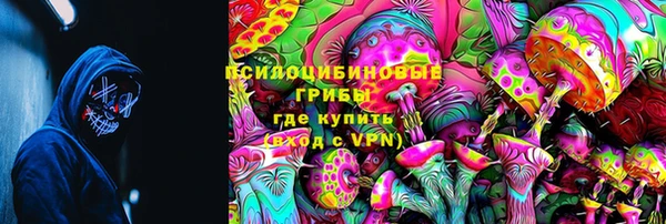 дмт Алзамай