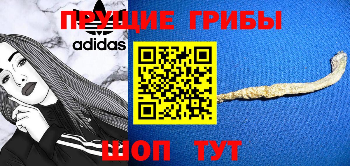 Псилоцибиновые грибы ЛСД Апатиты